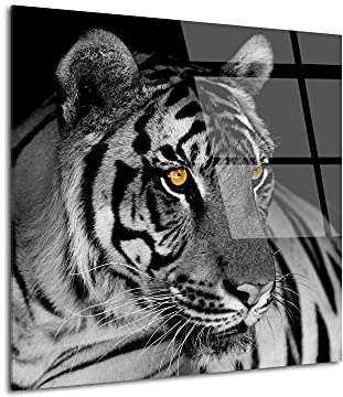 DECLINA Tableau verre acrylique photo le Tigre Blanc, Tableau Plexis, décoration murale plexi, tableau verre acrylique, 30x30 cm