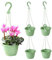 Rachlicy 5pcs hängende Körbe im Freien Plastikblumen -Topf Wand Hänge Pflanzer Pflanzenhalter mit Haken für Garten Innen im Freien Grün grün