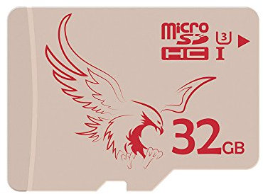 BRAVEEAGLE Micro SD Card 32GB Class 10 Memory Card for Dash Cam/Digital Cameras/Phone (32GB UHS-I 3)
