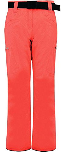 Dare 2b Stand for II Damen Skihose, Rosa (Luminous Pink), 36 (Herstellergröße:S)