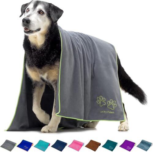 Lucky Paws® Hundehandtuch - 140x70cm XL Hundehandtuch extra saugfähig - schnell trocknend, luxuriös weiches Hunde Handtuch Hundebesitzer und Hunde Zubehör (1er-Pack, grau)