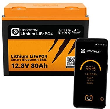 Liontron Lithium LiFePo4 Akku 14,5 kg 12.8V 100Ah + Victron Ladebooster 12-30A