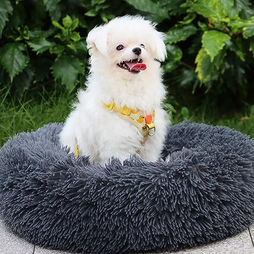 MDDK DY Hundebett,Katzenbett Flauschig,Hundekorb,Waschbar, Hundekissen 60cm，Hundekörbchen Rund aus Plüsch，Hundesofa，Katzenkorb, Hundebett für Kleine, Mittel Große Grosse Hunde Katzen Dunkelgrau