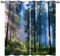 ANHOPE Natur Wald Dschungel Baum Vorhänge mit Ösen Blickdichte Gardinen Blackout Curtain Thermo Vorhang Weich Schlafzimmer Wohnzimmer Verdunklungsvorhänge 2er Set H 138 x B 117 cm