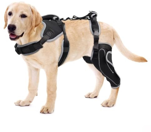 LISPOO Dog Knee Brace for Torn ACL/CCL Hind Leg-Left leg-Upgraded/M | Adjustable Support With Sufficient Wrapping and Support & Luxating Patella,Non-Slip Joint Brace,Pain Relief&Better Recovery