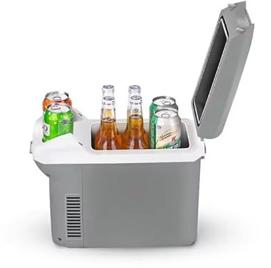 Générique Glacière Électrique Portable 8L 12V 220V Refroidit + Réchauffe Mini réfrigérateur pour Voiture Camping