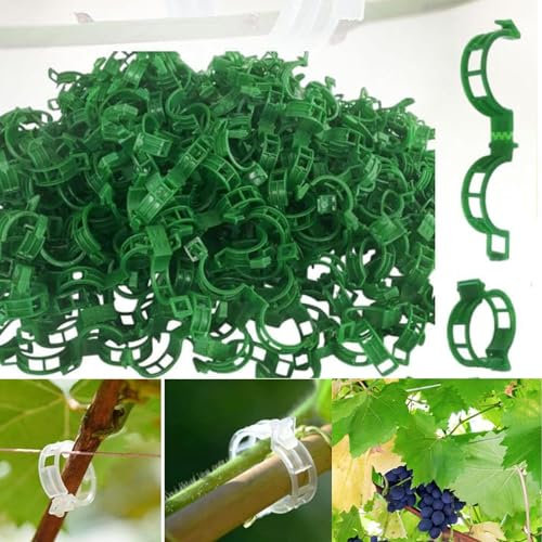 200 Stück Pflanzenclips für Kletterpflanzen, Pflanzenklammern Kletterhilfe Pflanzen Tomaten Rankhilfe, Pflanzen Clips Blumenklammern, Kunststoff Tomatenklammern für Kletterpflanzen (Grün)