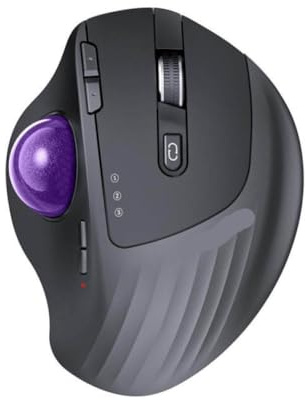 GRwzuPUEG Kabellose Trackball-Maus EM01 NL, kompatibel mit PC und Laptop(Purple)