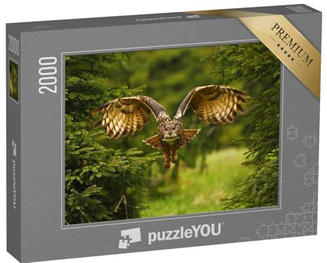 puzzleYOU: Puzzle 2000 Teile „Studie eines fliegenden Uhus“ – aus der Puzzle-Kollektion Eulen, Vögel, Exotische Tiere & Trend-Tiere