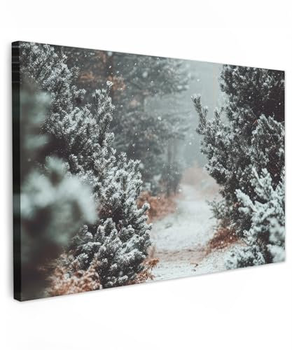 MuchoWow© Impression sur Toile Decoration Murale Peinture 90x60 cm Tableaux Decoratifs Muraux Déco Chambre Tableau Salon Forêt - Hiver - Arbres - Nature - Crapaud - Neige