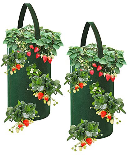 FALUCKYY Strawberry Planter Bags, 2 Pack 10 Gallon Hanging Strawberry Grow Bags, Breathable Non-woven Strawberry Growing Bag Planting Pots for Plants Herbs Flowers, 22 x 38cm