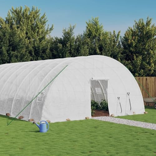 ZEYUAN Invernadero con Estructura de Acero Blanco 144 m² 24x6x2,85 m, Invernaderos Huerto, Invernaderos Jardin, Invernaderos Terraza, Huerto Urbano, Grande portátil jardinería plantación - 3188126
