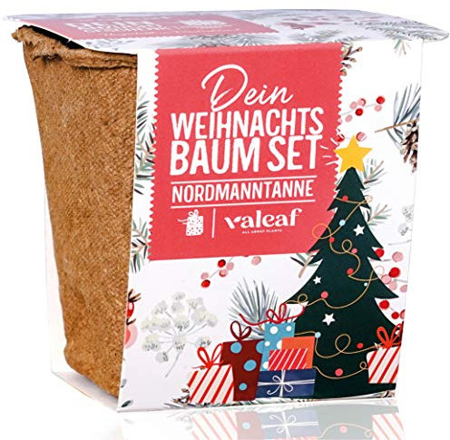 valeaf Weihnachtsbaum Set (Nordmanntanne)