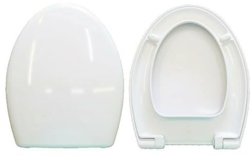 BS Copriwater Compatibile AZZURRA FULL 56 Termoindurente Bianco e Cerniere Cromate Lucide - Anatomico - Antibatterico - Plastica Facile da Pulire