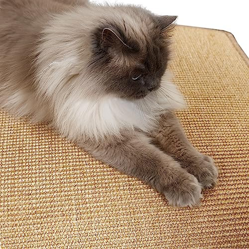 Kratzmatte für Katzen - Fußmatte Sisal Kratzteppich - natürliche Sisalmatte robust - Vorleger aus 100% Sisal - Katzenkratzmatte Natur 30 x 40 cm