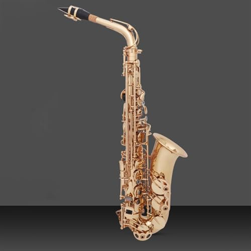 Professionelles Klassisches Alt-Es-Saxophon Für Einsteiger