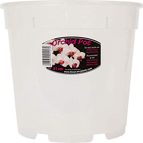 2X Clear Orchid Pot - White 21cm