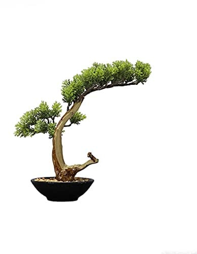 SBCGFY Plantas Artificiales, ciprés Tuya Artificial, simulación de Planta Verde, bonsái, Adorno de Escritorio para Porche, Estudio, salón de té, decoración de Restaurante, 9,8 Pulgadas.