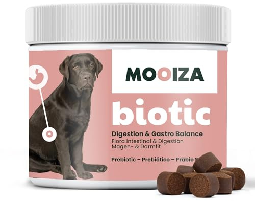 Prébiotiques naturels pour chiens et chats avec spiruline + psyllium et charbon végétal activé – Soutien flore intestinale – Supplément nutritionnel pour immunité digestive en format biscuits 300 g |