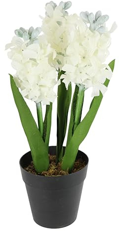 Künstliche Hyazinthen Weiß im Topf – 30 cm Kunstblume Dekoblume Kunstblume Frühblüher Frühlingsblume Frühjahr Deko Realistische Frühlingsdeko Seidenblume Osterblume Osterdekoration