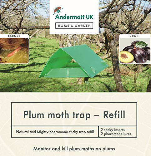 Plum moth trap - Refill - includes 2 pheromone lures and sticky cards (no trap) - Suitable for use with any existing trap - Andermatt Home & Garden