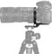 SUNWAYFOTO LS-80 Anillo giratorio universal de 80 mm para cámaras DLSR, montaje de trípode, anillo de soporte de objetivo, montaje en placa Arca Swiss DSLR, cambio horizontal y vertical