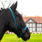 Halfter für Warmblut, Vollblut, Kaltblut, Pony – Stallhalfter, Weidehalfter, 2-Fach verstellbare Dornschnallen, sicher & reißfest (Grün, Kaltblut)