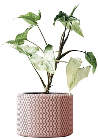 OSLO | Blumentopf aus BETON | KEIN 3D DRUCK | Übertopf | Pflanzenhalter | Blumenvase | verschiedene Farben | verschiedene Größen | EDITION ONE | LIATH® (L | 14cm, Coral)
