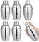 Marran 6PCS Mini Cocktail Shaker, Drink Shakers Cocktail,Stainless Mini Shaker, Cocktail Shaker with Strainer, 250ml