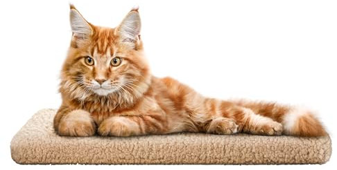 Katzen Fensterliege Fensterbank rutschfest - Katzenbett Fensterbank 60x25 cm - Weich & Kuschelig - Fensterliege für Katzen Selbstheizende Katzendecke - Waschbarer Bezug (Beige)