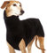 Herbst Und Winter Warme Windhund Labrador Schäferhund Kleidung Für Große Hunde Hemd Hohen Hals Pullover Stretch Fleece Pullover Für Hunde Weste Pet Jacke
