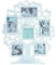Trendi® Family Tree Photo Frame| Family Photos Frame Display Tree (Family Tree Design)