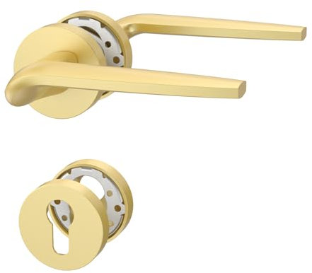 Amerdeco Poignée de Porte Dorée en Aluminium – Ensemble PZ pour Porte d’Entrée, Garniture de Poignée de Porte