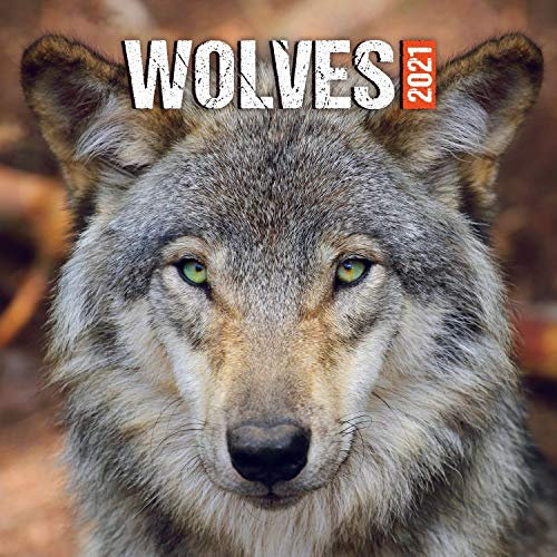 Wildlife Calendar - Calendars 2020 - 2021 Wall Calendar - Photo Calendar - Wolves Wall Calendar by Presco Group (Multilingual Edition)