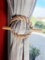 Solenzo - Lot de 2 embrasses Rideaux en Bois et Corde - Style Nautique - Fabrication Artisanale française
