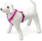 Karlie Art Sportiv Plus Geschirr neue universal Farben Mix and Match B: 10 mm Br um: 25 - 40 cm XS pink