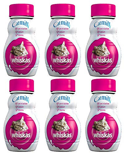 KRISP 6 x 200ml Cat Milk Drink Treat Calcium Protein Healthy Pet Food