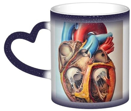 OrcoW Heat Sensitive Colour Changing Mug Human Anatomy Heart Chart Printed Ceramic Mug Novelty Heat Sensitive Cup Personalized Gifts for Birthday Anniversary Christmas 13 Oz