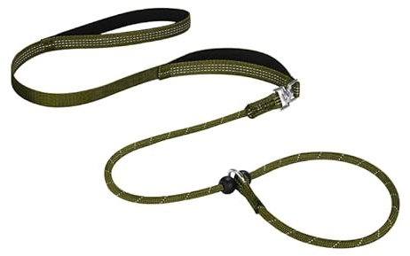 2-in-1 Retrieverleine mit Zugstopp – Hundeleine & Halsband in einem (Anti-Zieh Training) – Robuste Nylon Schlupfleine mit 2 Griffen & Reflektoren – Sicher & Sanft für Hunde (Kein Würgen)