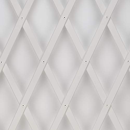 Treplas 1,00x2 m, Bianco, Traliccio Estensibile in PVC per Sostegno a Muro di Fiori e Piante Rampicanti