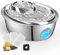 GoldenSun Katzenbrunnen, Rostfreie Stähle Automatischer Wasserbrunnen für Katzen, 67oz/2L Katzen Trinkbrunnen – 4 Aktivkohlefilter, Geeignet für alle Rassengrößen (D36)