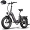Fafrees FF20 Polar E Bike Damen Klappbar mit 10,4Ah/499,2Wh*2 Akkus bis 160KM [ Offiziell ] Fatbike E-Bike Herren Elektrofahrrad 20, Klapprad