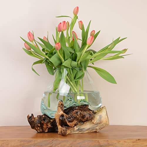 WOHNFREUDEN Teak-Holz Deko Wurzel Glas Vase Gr. M 30 cm Teakwurzel Dekoration