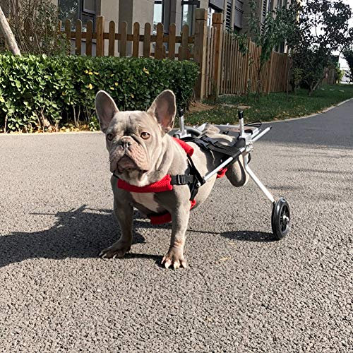 Cora Pet Hunde Wagen Rollstuhl Hunderollstuhl für Hinterbein/Hintere Füße Hund Katze Kaninchen, Gehhilfe Hundegehilfe Hunderollwagen, Dog Wheelchair für Haustier mit Einem Gewicht von 3-10 kg