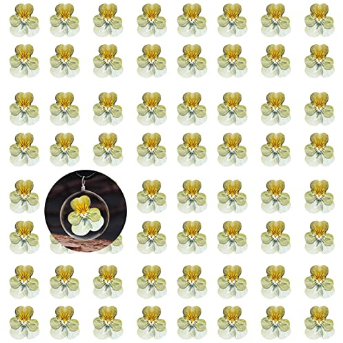 ALJ Brown Dried Pressed Pansy Flowers for Resin Crafts, 60PCS Natural Real Dry Pansy Flower for Resin Jewelry Candle Card Soap Making Scrapbooking DIY Art Crafts Painting Decoration