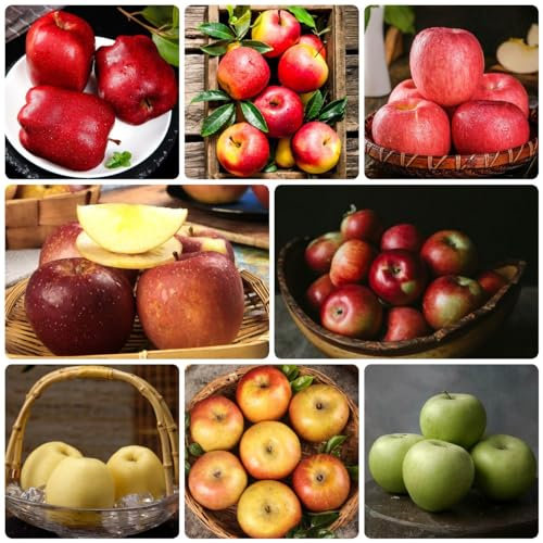 200 Pcs Apfel Samen, Bio Saatgut, Alte Sorten Saatgut Apfelbaum Samen - Malus Pumila - Obstbäume Kaufen Geschenke Für Gartenliebhaber Baum Deko Obst, Nachhaltige Geschenke Obst Frisch