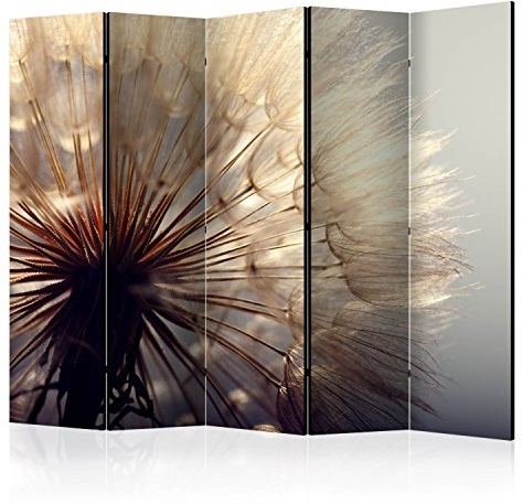 RAUMTEILER/PARAVENT B&D XXL Raumteiler Pusteblume Natur Foto Paravent 225x172 cm beidseitig auf Vlies-Leinwand Bedruckt Trennwand Spanische Wand Sichtschutz Raumtrenner Home Office beige grau braun