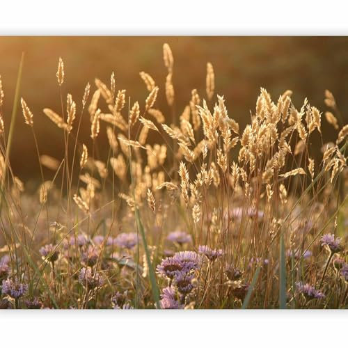 murando - Vlies Fototapete Natur 350x270cm - Foto Tapete Schlafzimmer Wohnzimmer Moderne Vliestapete XXL Wandtapete Motivtapeten 3d Effekt Wand Dekoration - Landschaft Wiese Feld Blumen 100406-135