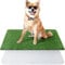 Artificial Grass for Dogs with Reusable Puppy Pad, 62x99cm Dog Toilet Grass Mat Potty Training Grass Pads for Dogs Washable Puppy Grass Reusable Puppy Pads Dog Grass Pee Pad