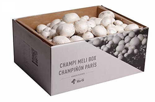 Setas Meli - Kit Autocultivo | Champiñón París, Fresco y Ecológico, con Sustrato Rico en Nutrientes, para los Amantes de la Cocina y la Naturaleza | 7 kg
